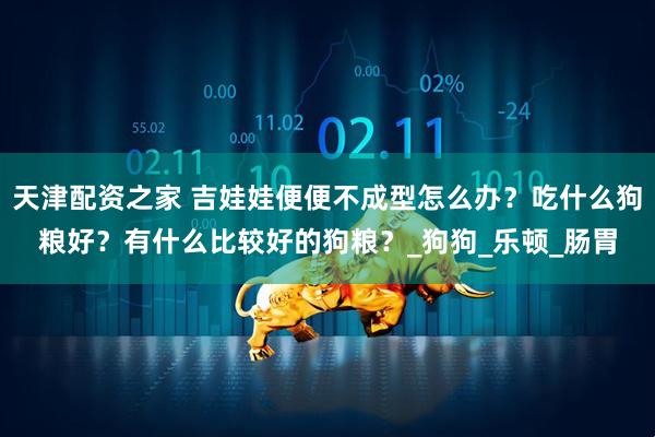 天津配资之家 吉娃娃便便不成型怎么办？吃什么狗粮好？有什么比较好的狗粮？_狗狗_乐顿_肠胃