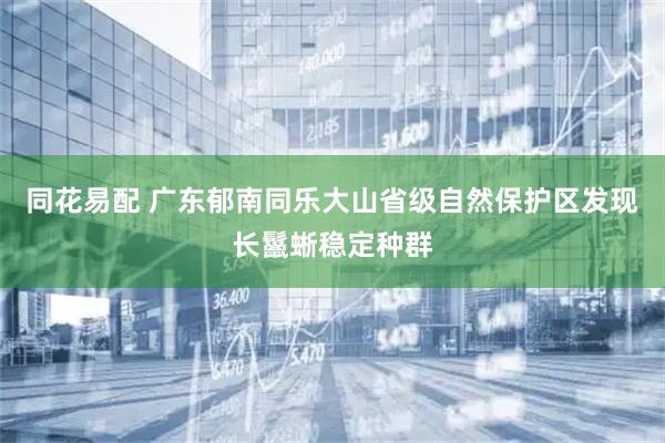 同花易配 广东郁南同乐大山省级自然保护区发现长鬣蜥稳定种群