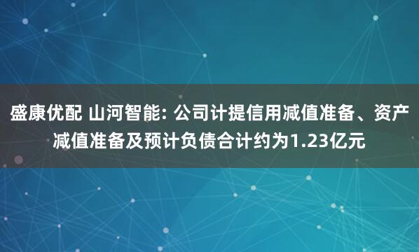 盛康优配 山河智能: 公司计提信用减值准备、资产减值准备及预计负债合计约为1.23亿元