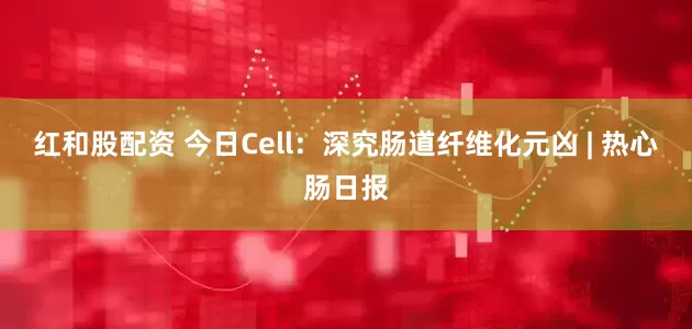 红和股配资 今日Cell：深究肠道纤维化元凶 | 热心肠日报